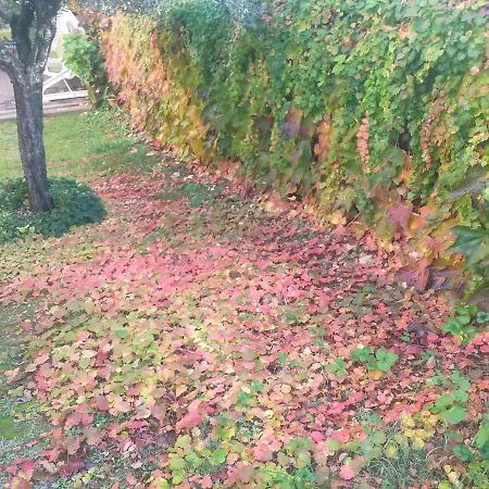 Nocleg ze śniadaniem Le 4*