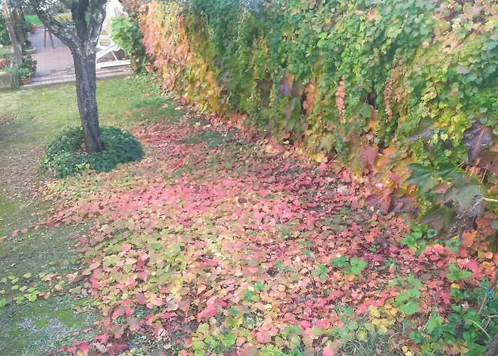 Nocleg ze śniadaniem Le 4*