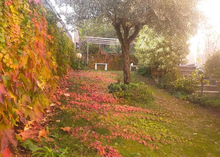 Le לינה וארוחת בוקר 4*